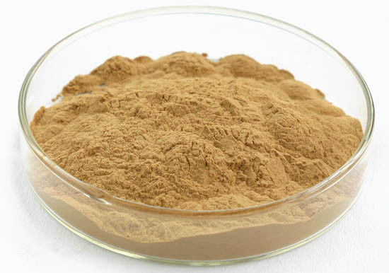 ivy leaf extract.jpg