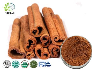 תמצית קינמון