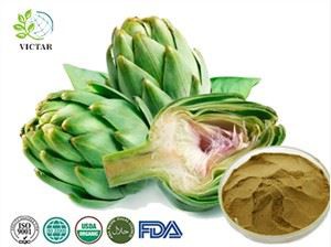 תמצית ארטישוק