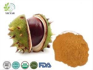 תמצית ערמון סוס