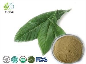 תמצית עלי שסק