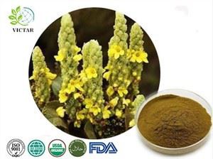 תמצית מולין