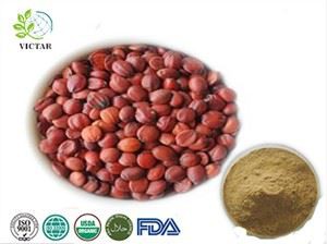 תמצית שיזף בר